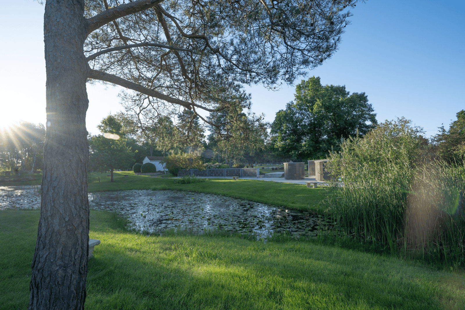 A lush green landscape featuring a pond, tall trees, and well-maintained grass at Incarnation Lutheran Church during a sunny day.